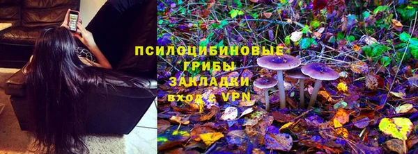 сатива Пестово