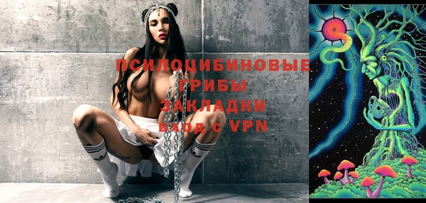 бошки Алексеевка