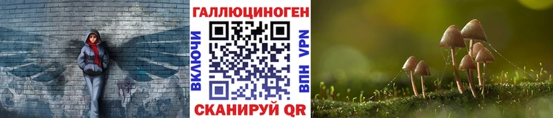 Галлюциногенные грибы Magic Shrooms  Любим 